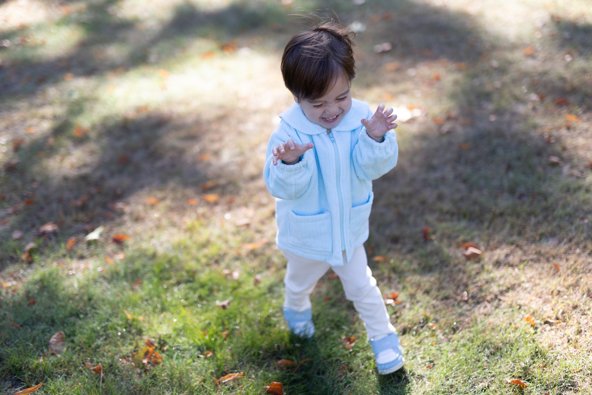 木漏れ日の芝生で、水色のジャンパーと靴の男の子が手をたたきながら楽しそうに歩く姿